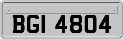 BGI4804