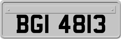 BGI4813