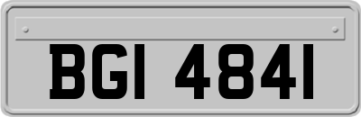 BGI4841