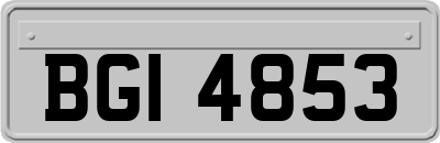 BGI4853