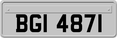 BGI4871