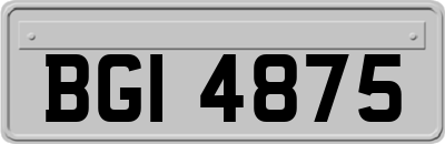 BGI4875