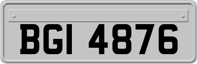 BGI4876