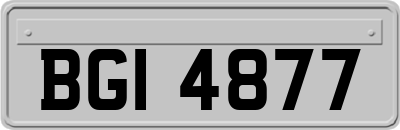 BGI4877