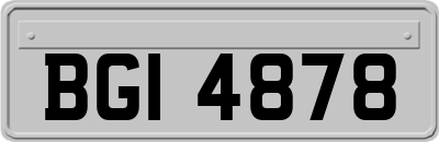 BGI4878