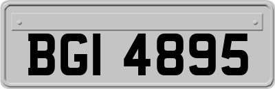 BGI4895