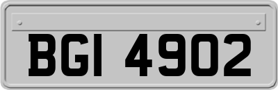 BGI4902