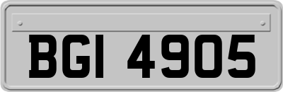 BGI4905