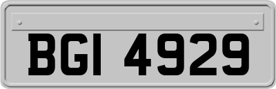 BGI4929