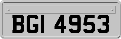 BGI4953