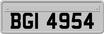BGI4954