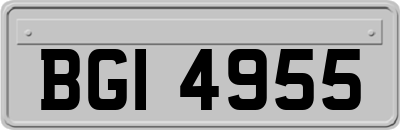 BGI4955