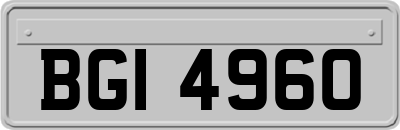 BGI4960