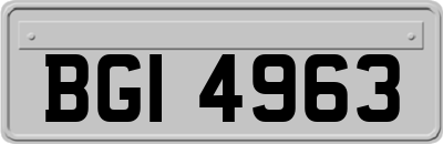 BGI4963