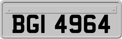 BGI4964