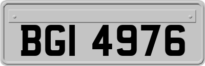 BGI4976