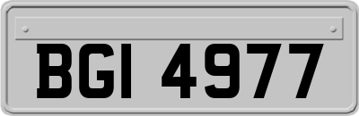 BGI4977