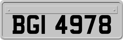 BGI4978