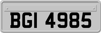 BGI4985
