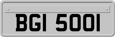 BGI5001