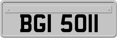 BGI5011