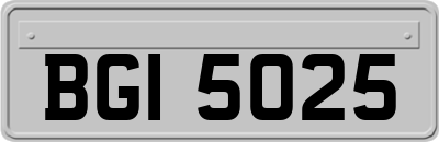 BGI5025