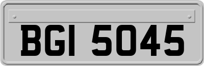 BGI5045