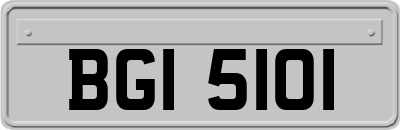 BGI5101