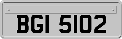 BGI5102