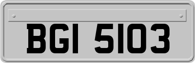 BGI5103