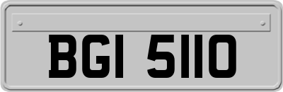 BGI5110