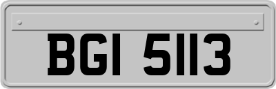 BGI5113