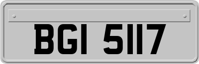 BGI5117