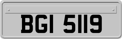 BGI5119