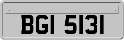 BGI5131