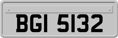 BGI5132