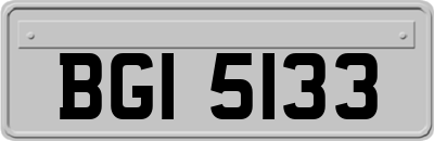 BGI5133