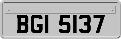 BGI5137