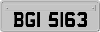 BGI5163