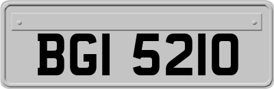 BGI5210