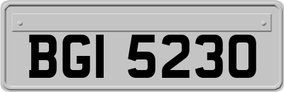 BGI5230