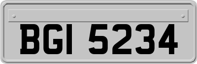 BGI5234