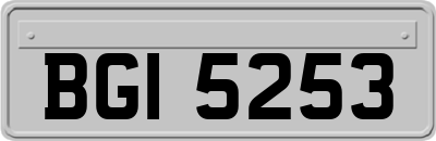 BGI5253