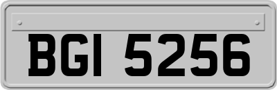 BGI5256
