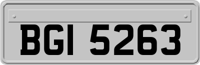 BGI5263