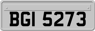 BGI5273