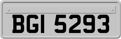 BGI5293