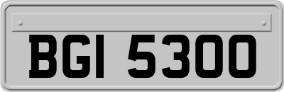 BGI5300
