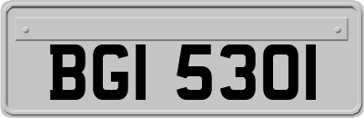 BGI5301