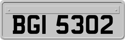 BGI5302